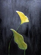 "Лицо цветка" 2009 (Масло)