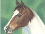20091105_horses
