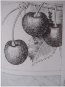 20091105_visni2