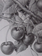 20091105_visny