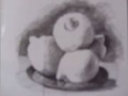 20091119_limon