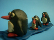20100404_pingvin_2