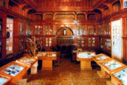 20100425_kozak_2